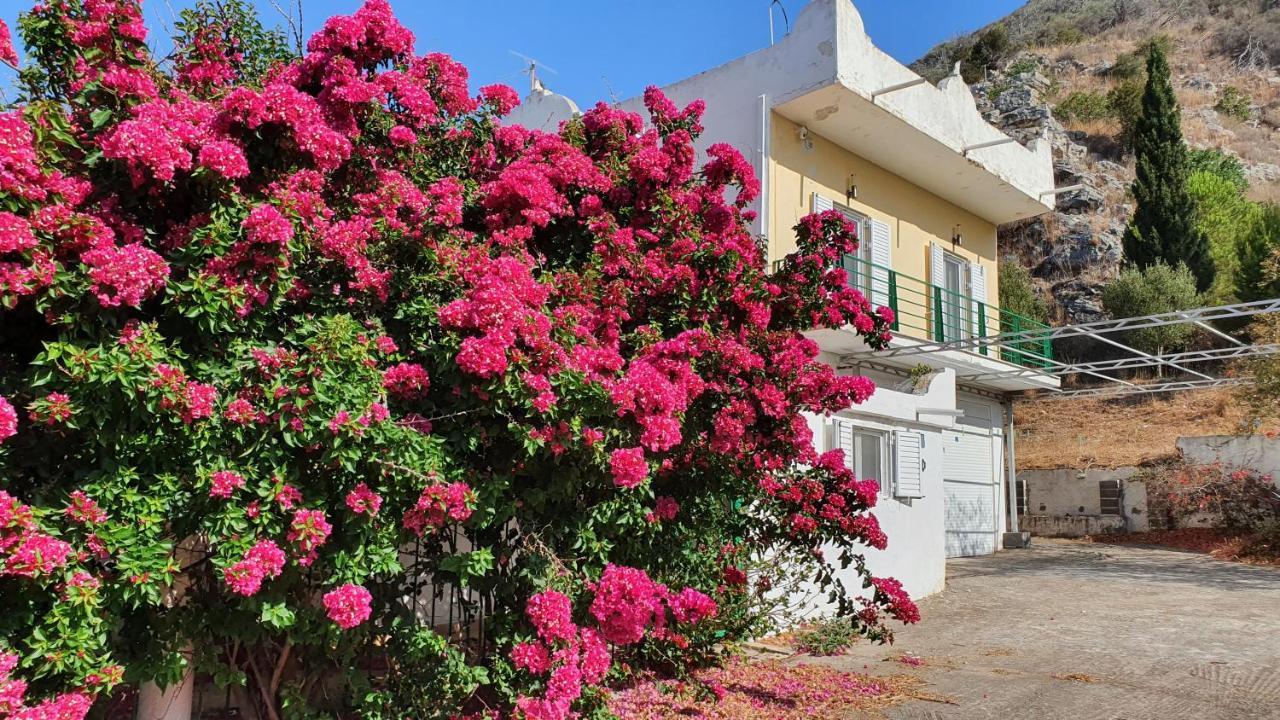 Villa Dunes 350M From The Sandy Beach 卡洛吉亚 外观 照片