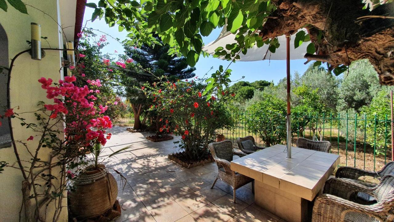 Villa Dunes 350M From The Sandy Beach 卡洛吉亚 外观 照片